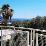 Elif Kalkan *