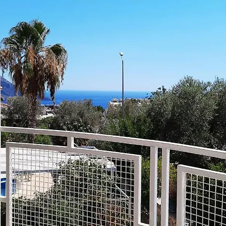 Elif Kalkan *