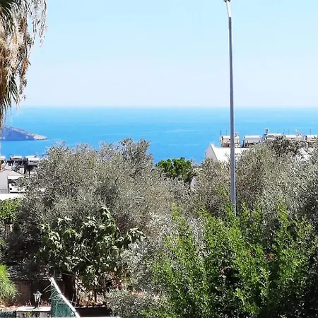 Elif Kalkan Kaş